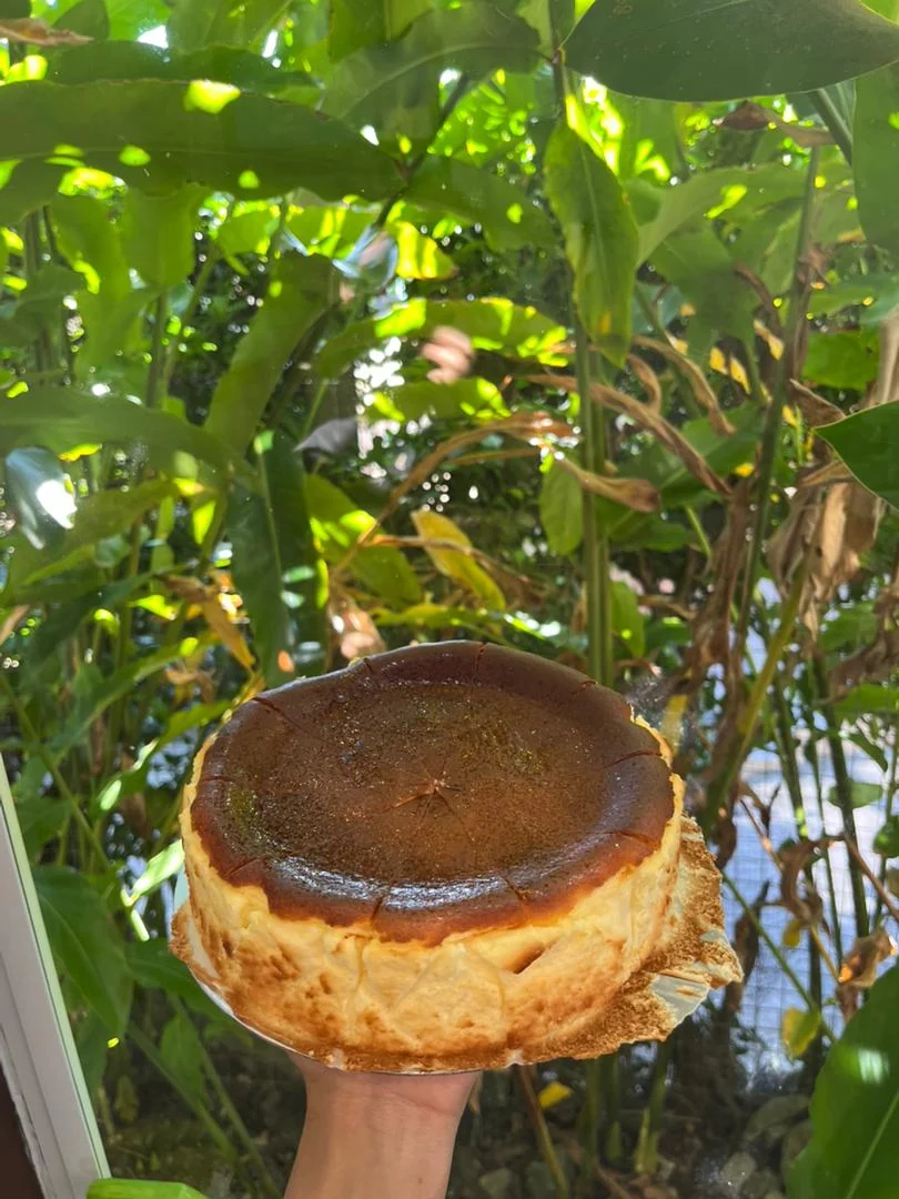 热带绿植前手持的整只芝士蛋糕