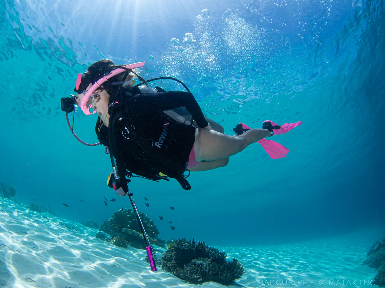 A scuba diver swimming above a sunlit sandy seabed