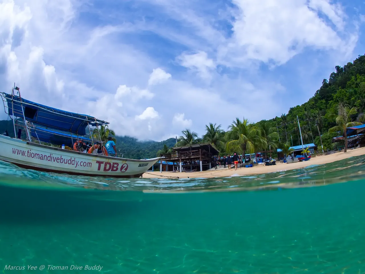 A Tioman Dive Buddy boat beside a palm-lined tropical beach