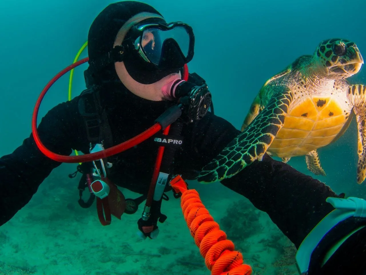 PADI 体验水肺潜水