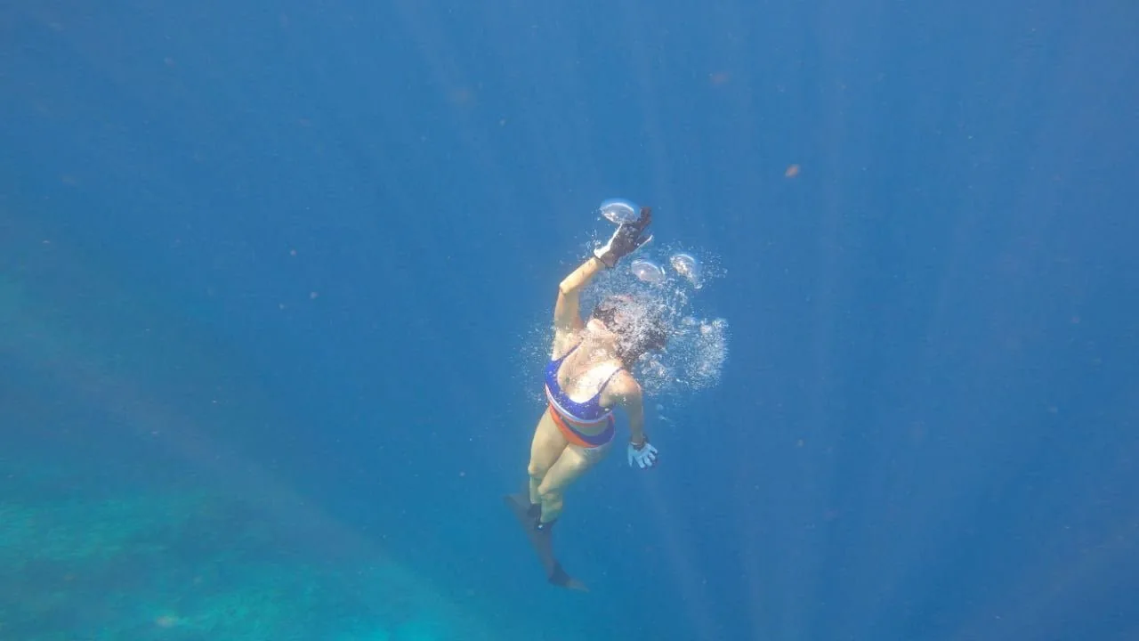 PADI 美人鱼课程