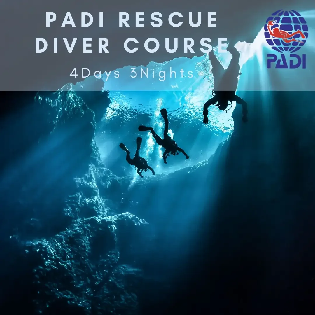 PADI 救援潜水员课程 + ERF 课程