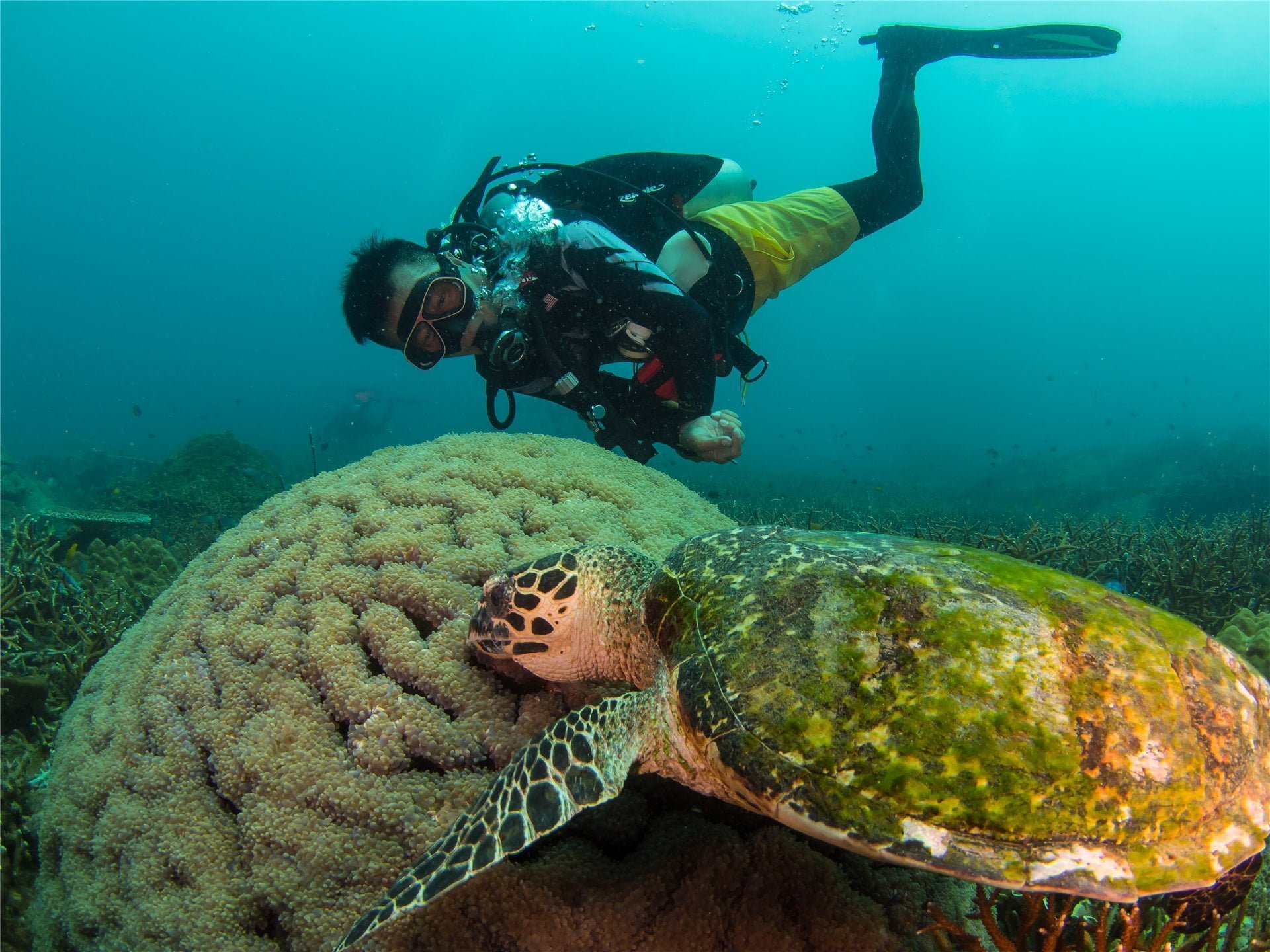 PADI Open Water