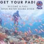 PADI 开放水域课程