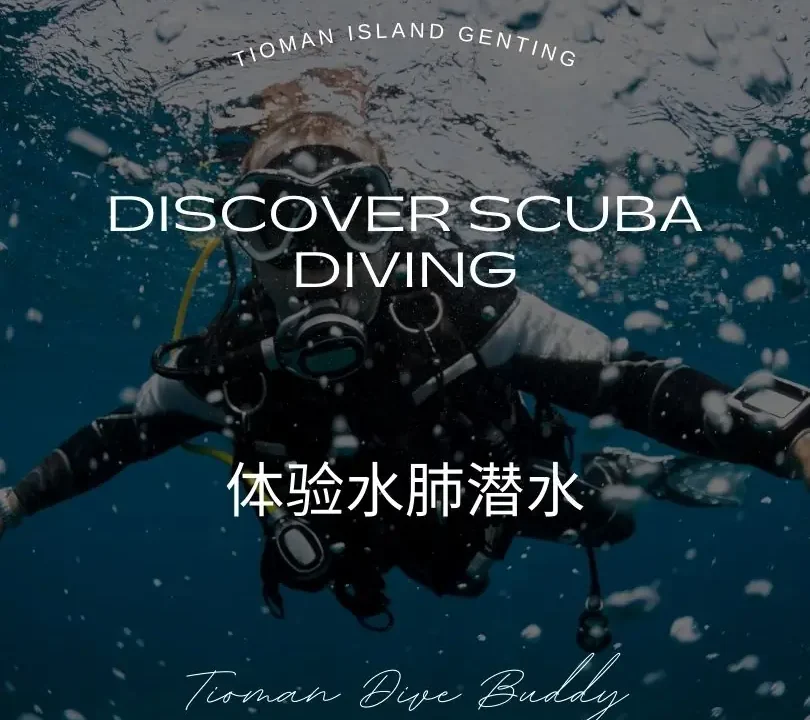 体验水肺潜水