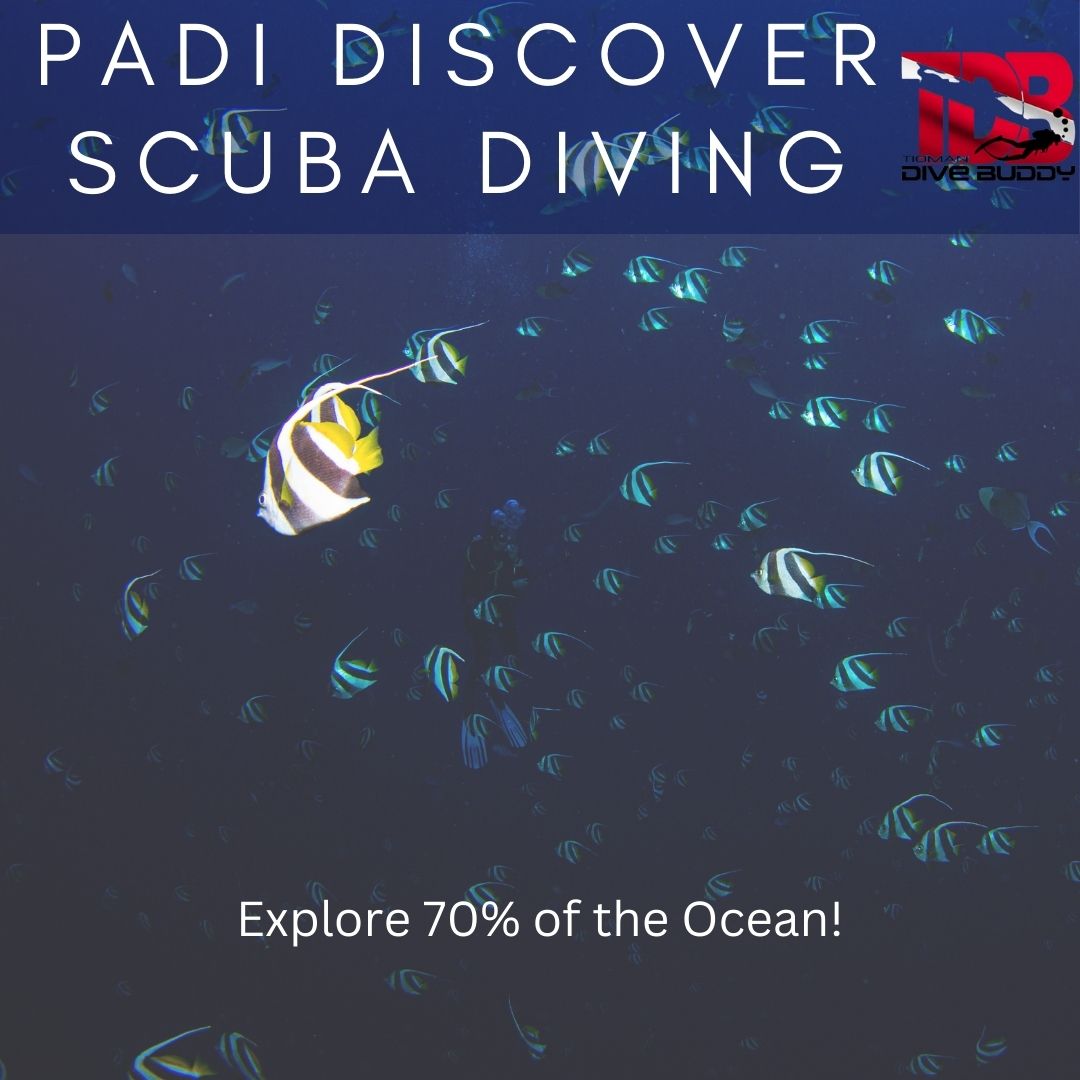 Discover Scuba Diving