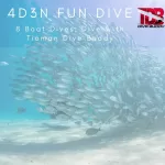 dive in tioman