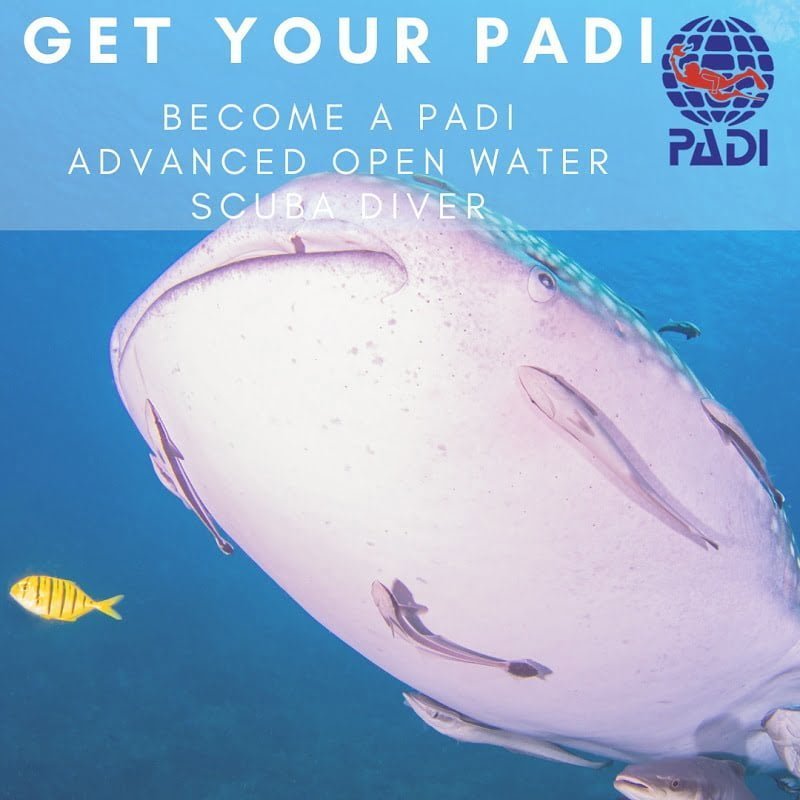 PADI进阶开放水域潜水课程