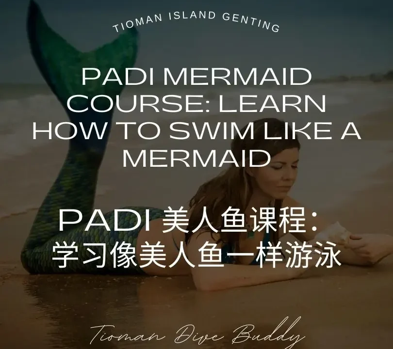 PADI 美人鱼课程 学习如何像美人鱼一样游泳