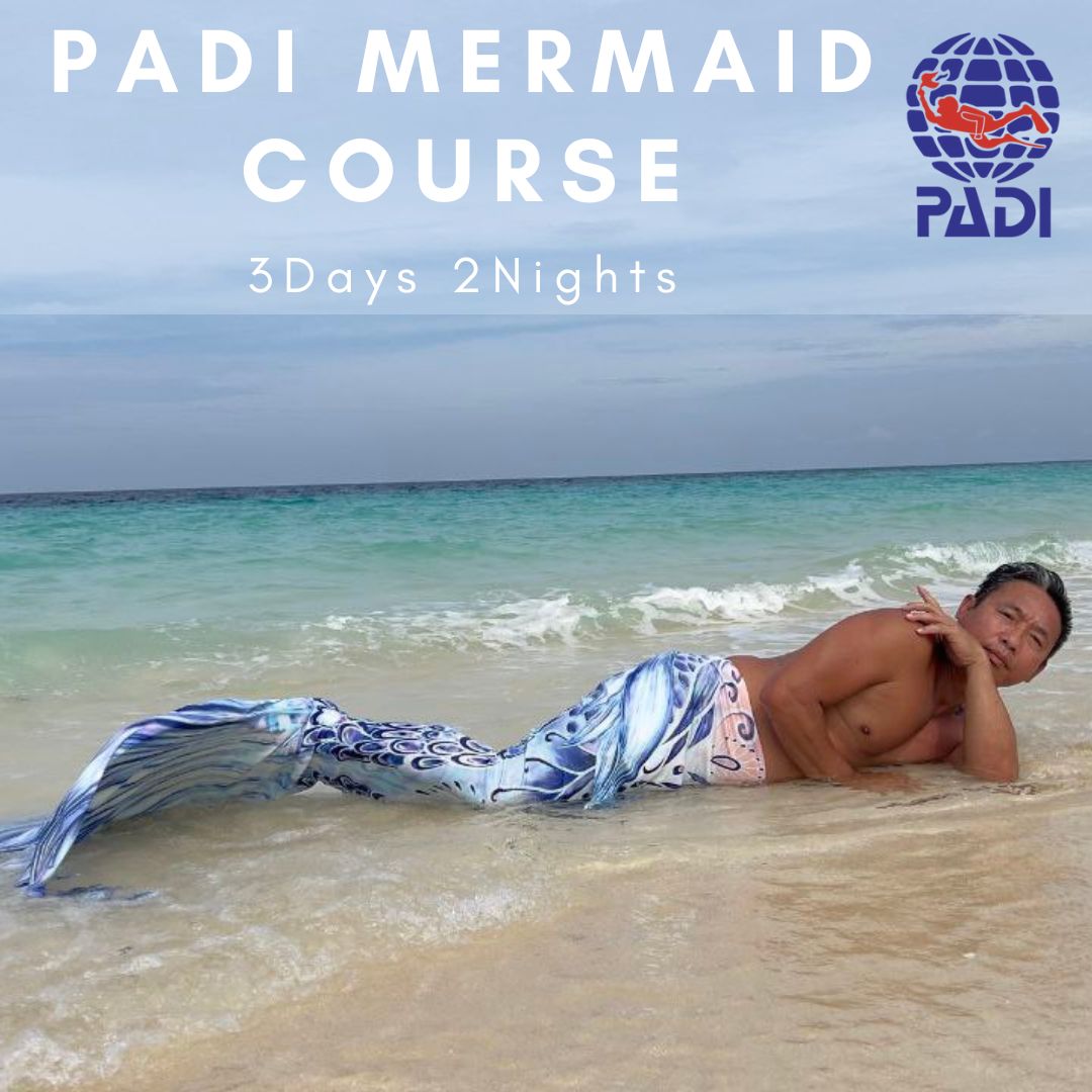 Mermaid Course