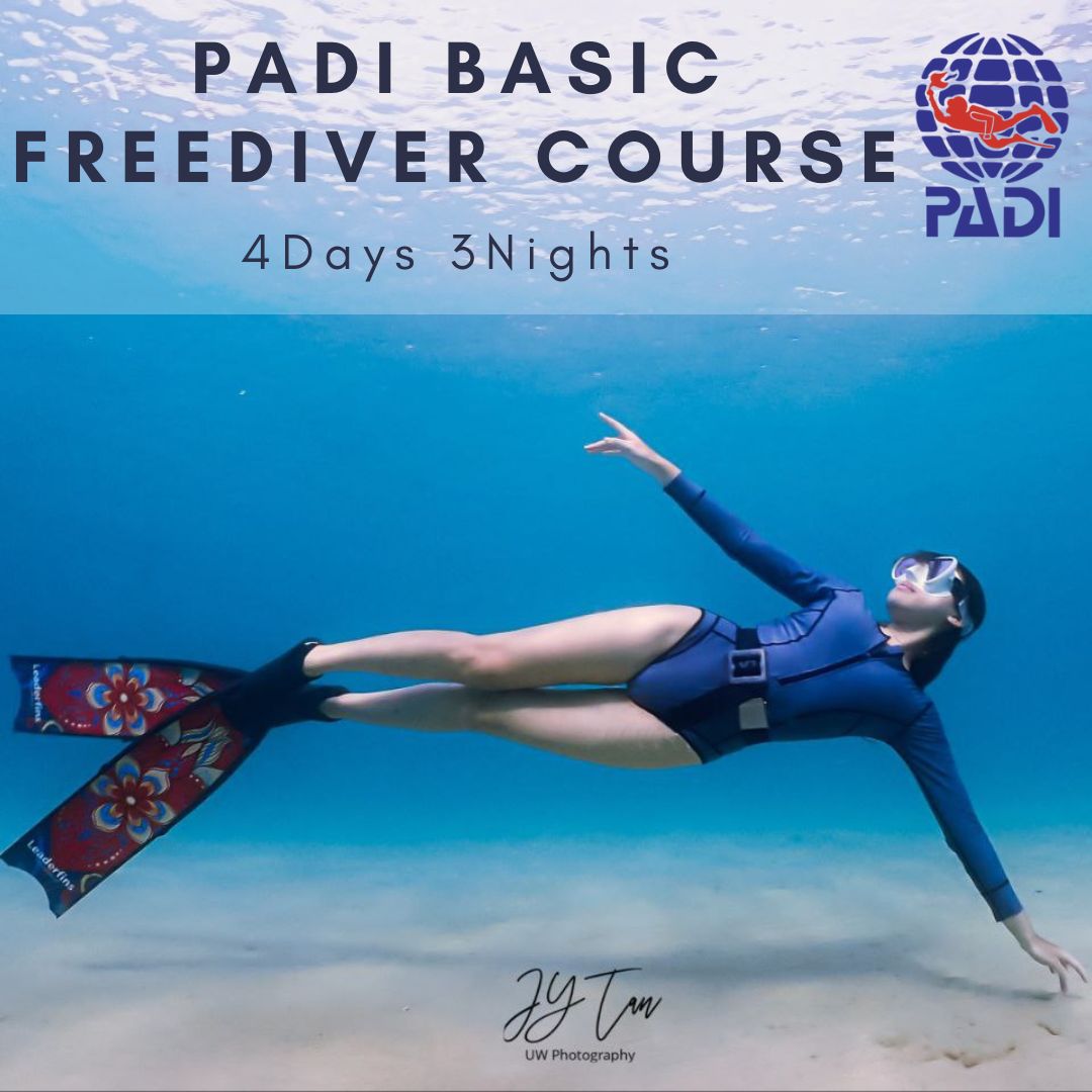 padi basic freediver course