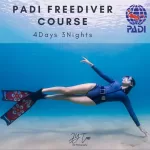 padi free diver course