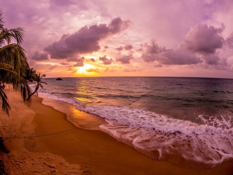 Best Season to Dive in Tioman