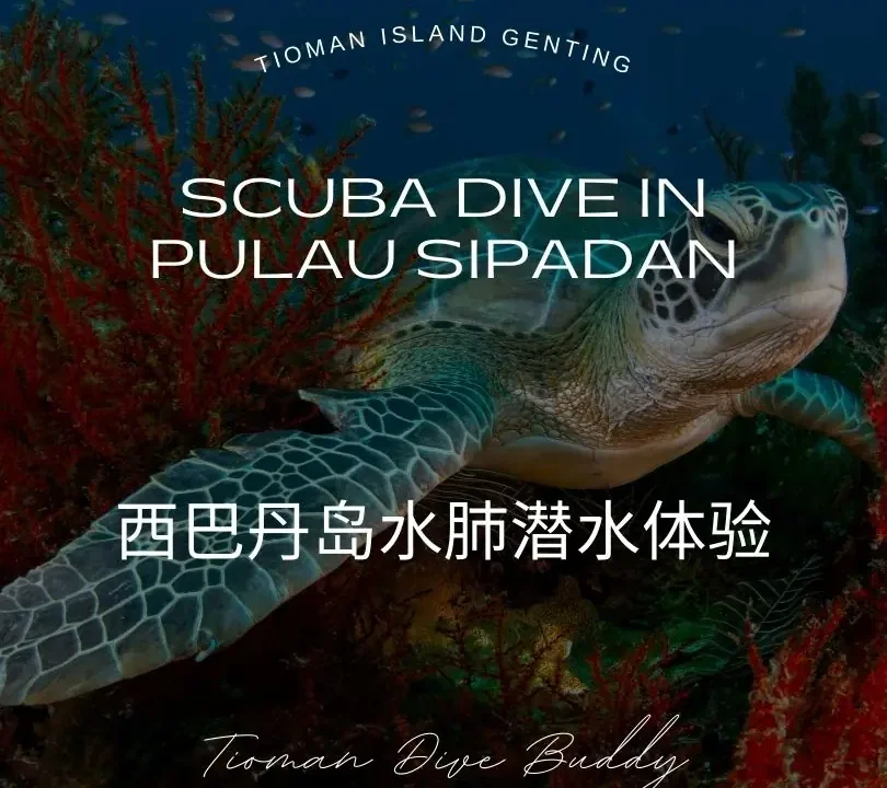 西巴丹岛水肺潜水