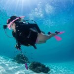 discover scuba dive