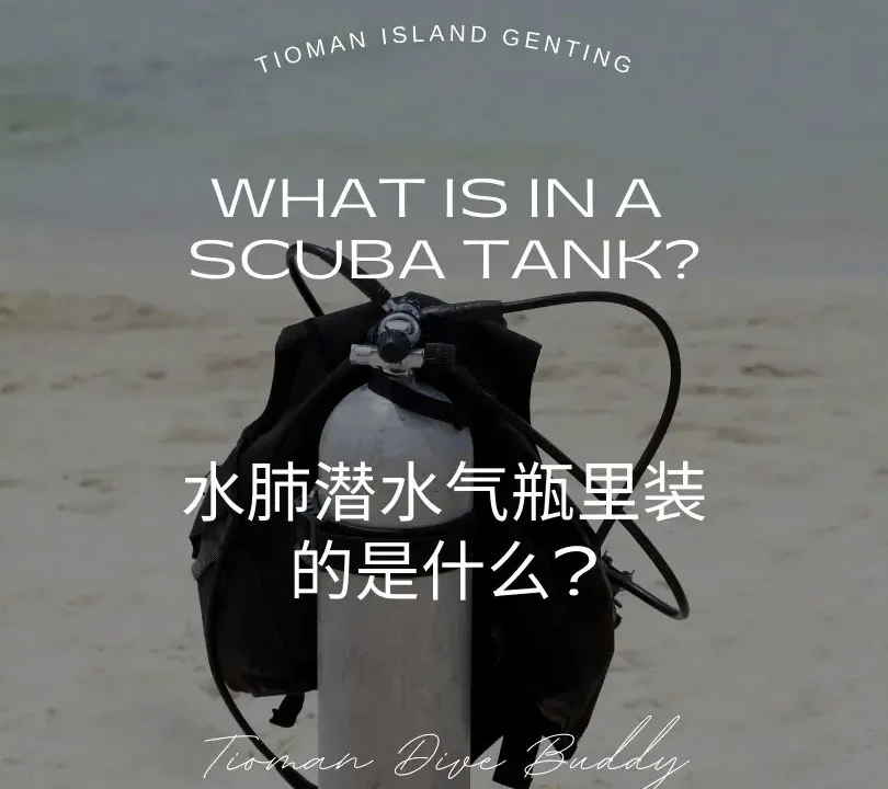 What is in a Scuba Tank?