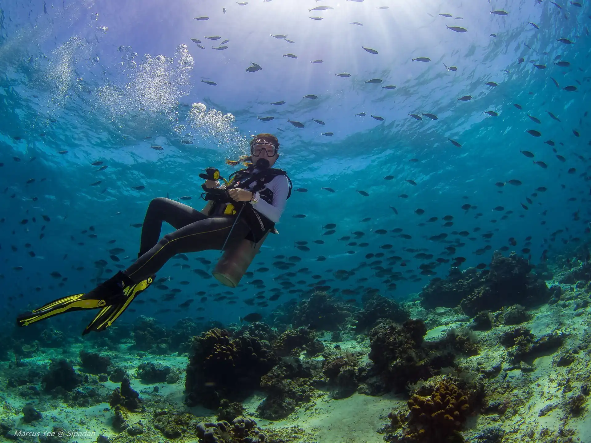 Open Water Diver Course in Tioman Island
