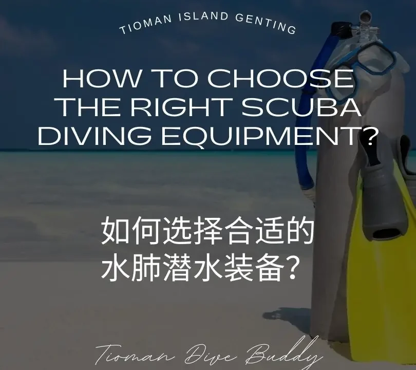 How to Choose the Right Scuba Diving Equipment - 如何选择合适的水肺潜水装备