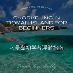 Snorkeling in Tioman Island for Beginners: A Guide to the Best Spots and Tips