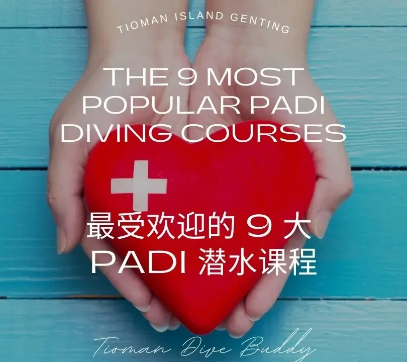 The Benefits of Scuba Diving for Physical and Mental Health - 水肺潜水对身心健康的益处