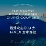 最受欢迎的 9 个 PADI 潜水课程 - 最受欢迎的 9 个 PADI 潜水课程