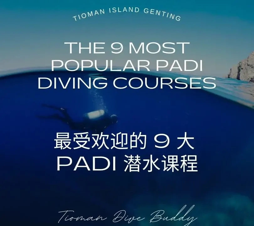 最受欢迎的 9 个 PADI 潜水课程 - 最受欢迎的 9 个 PADI 潜水课程