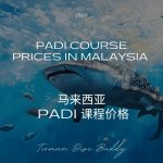 PADI Course Prices in Malaysia 2026 Tioman vs Perhentian vs Tenggol vs Semporna