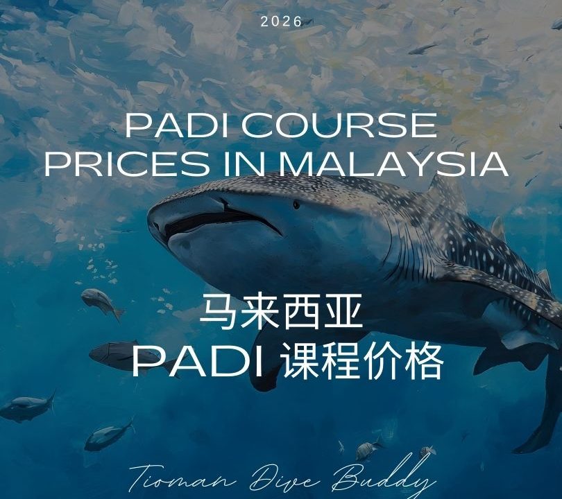 马来西亚 2026 年 PADI 课程价格 刁曼岛 vs 彭亨提安岛 vs 登鹅湖 vs 仙本那