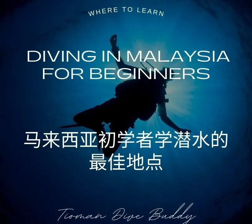 马来西亚初学者学潜水的最佳地点 - 马来西亚初学者学潜水的最佳地点