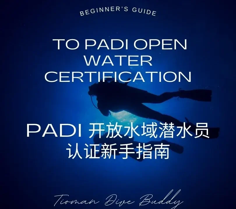 PADI 开放水域潜水员认证新手指南 PADI 开放水域潜水员认证新手指南