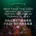 Why Take the PADI Advanced Open Water Course in Tioman Island (2026) Guide