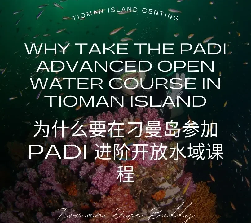为何在刁曼岛参加 PADI 高级开放水域课程(2026 年)指南