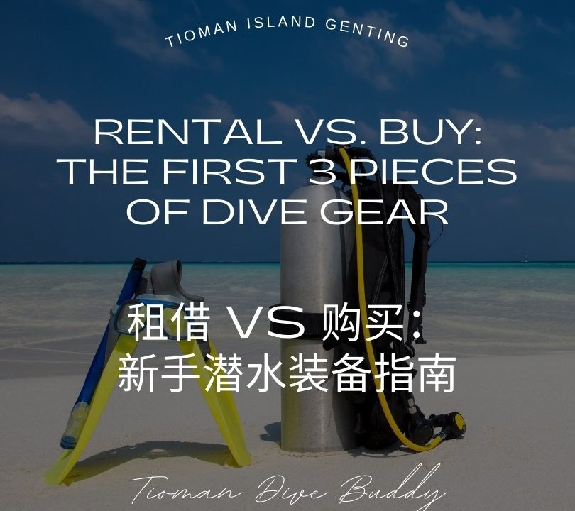 Rental vs. Buy The First 3 Pieces of Dive Gear