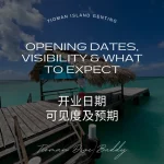 刁曼岛 2026 年是否开放潜水季节及能见度指南