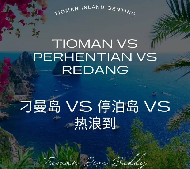 刁曼岛 vs 停泊岛 vs 热浪岛