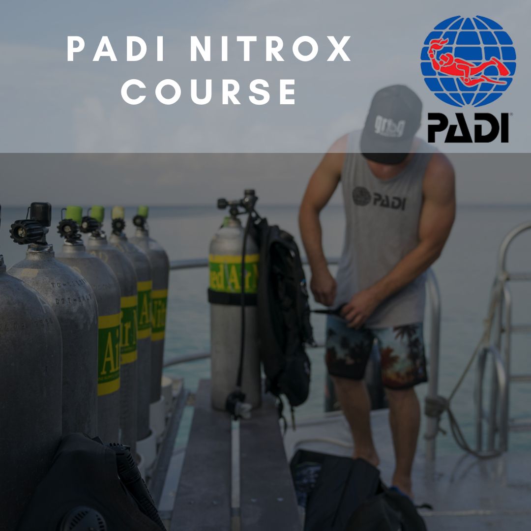 Padi nitrox course